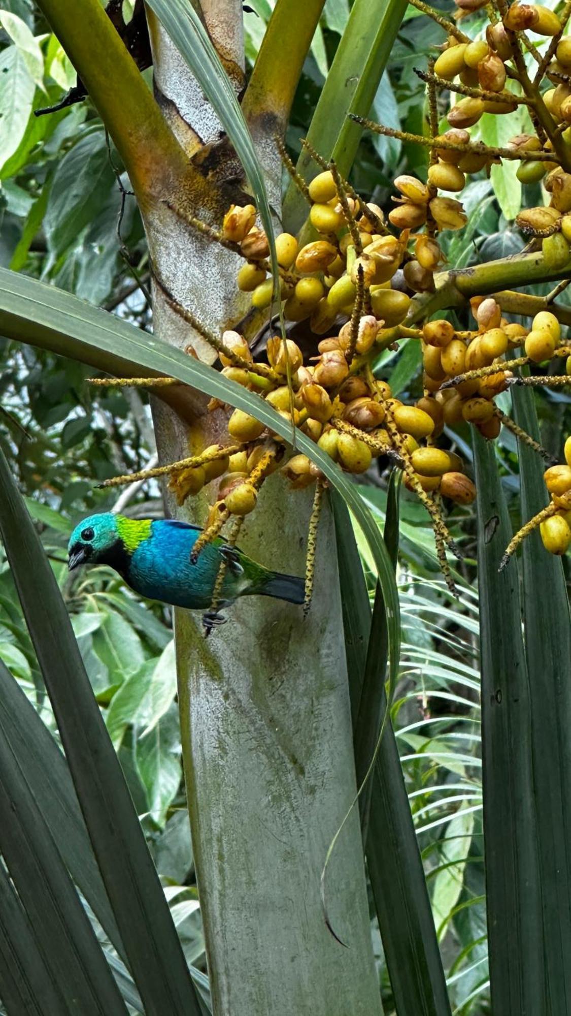 Сasa de vacaciones Casa Da Floresta
