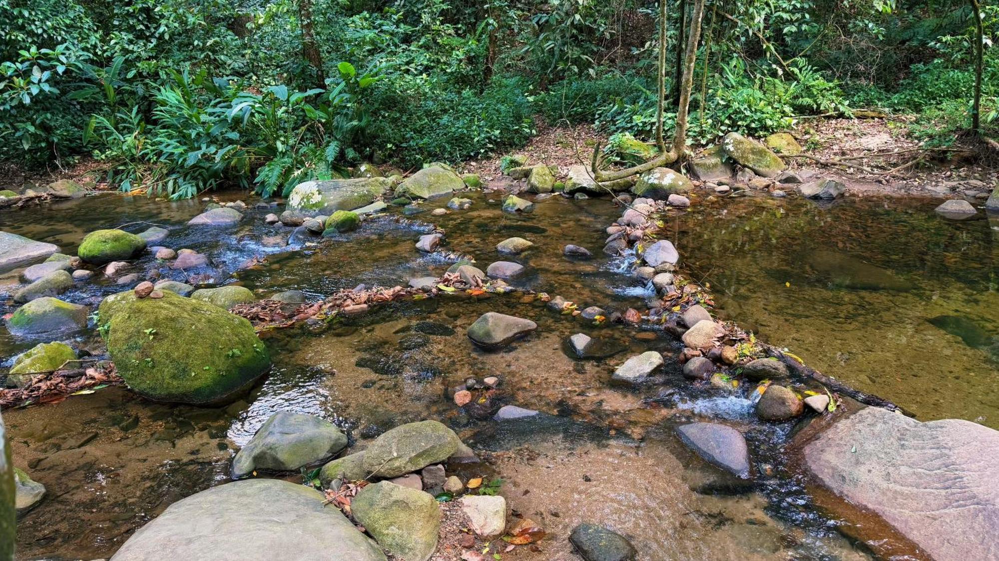 Casa Da Floresta Сasa de vacaciones