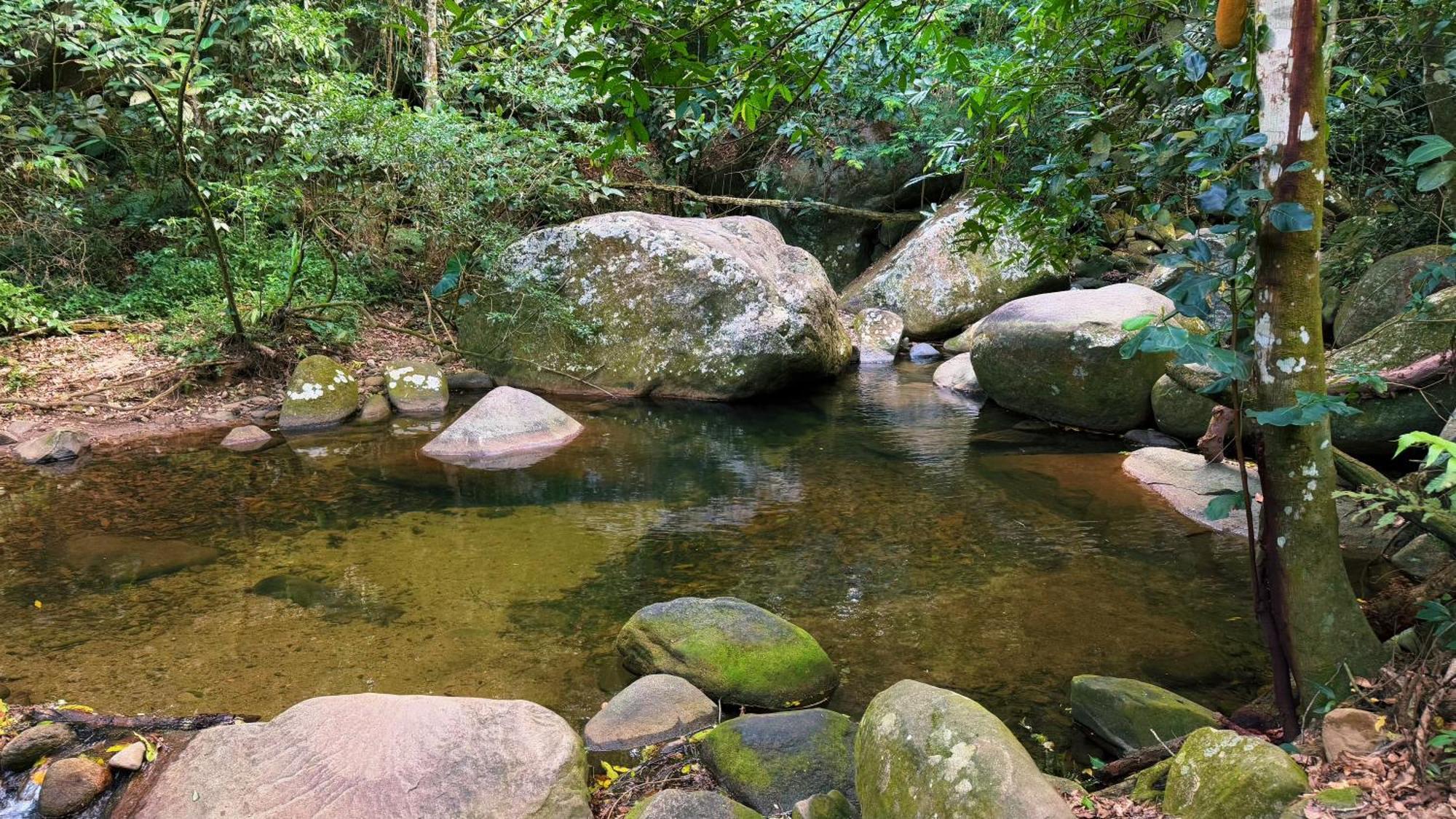 Сasa de vacaciones Casa Da Floresta